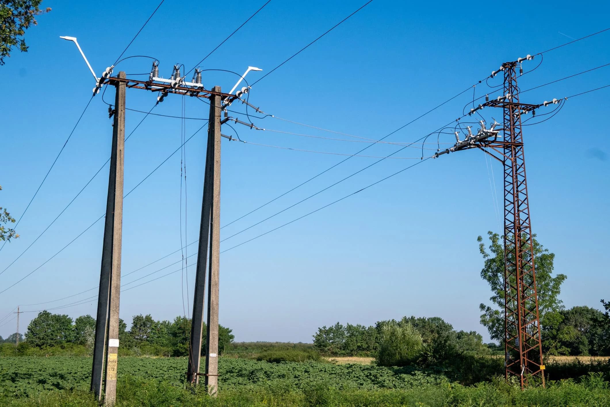 ACSR overhead conductors installed on utility poles for power distribution networks.