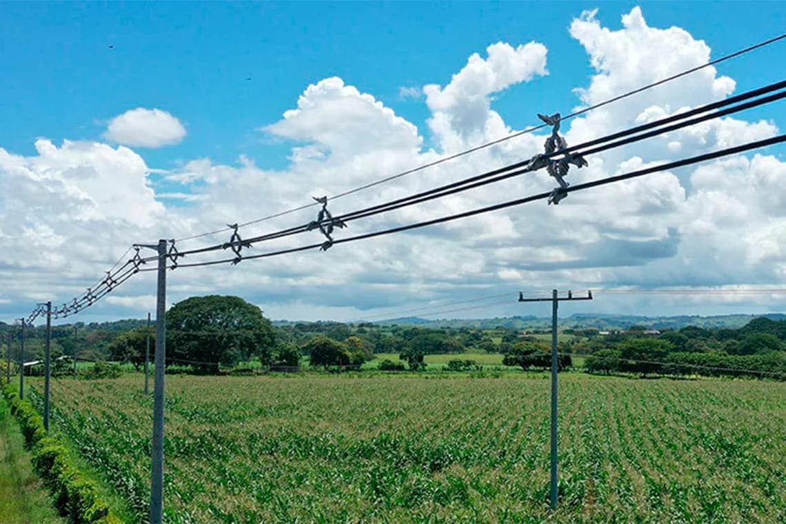10kV overhead power distribution infrastructure extending across rural farmland to support rural electrification projects.