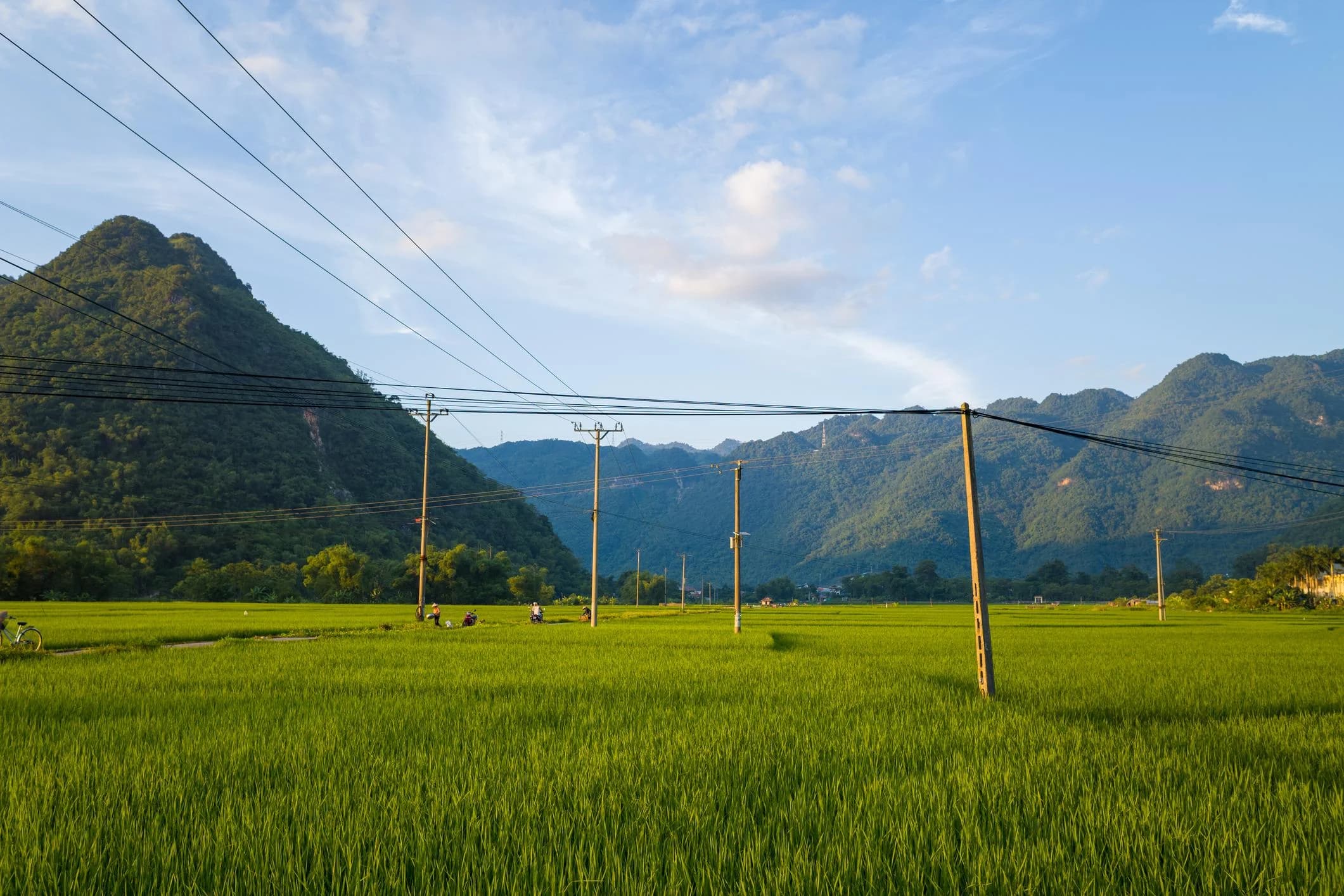 ACSR overhead power lines supplying electricity to rural and remote communities.